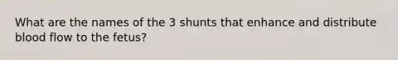 What are the names of the 3 shunts that enhance and distribute blood flow to the fetus?