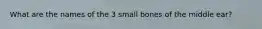 What are the names of the 3 small bones of the middle ear?