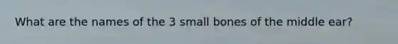 What are the names of the 3 small bones of the middle ear?