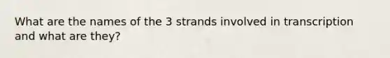 What are the names of the 3 strands involved in transcription and what are they?