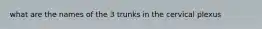 what are the names of the 3 trunks in the cervical plexus