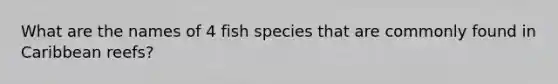 What are the names of 4 fish species that are commonly found in Caribbean reefs?