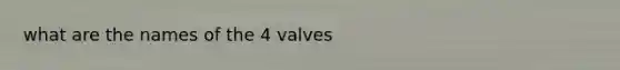 what are the names of the 4 valves