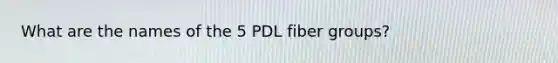 What are the names of the 5 PDL fiber groups?