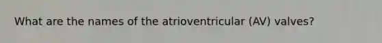 What are the names of the atrioventricular (AV) valves?