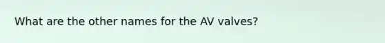 What are the other names for the AV valves?