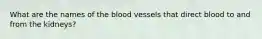 What are the names of the blood vessels that direct blood to and from the kidneys?