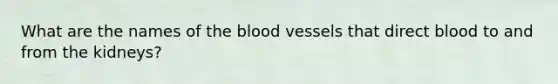 What are the names of the blood vessels that direct blood to and from the kidneys?