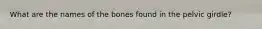 What are the names of the bones found in the pelvic girdle?