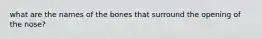 what are the names of the bones that surround the opening of the nose?