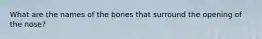 What are the names of the bones that surround the opening of the nose?