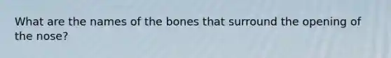 What are the names of the bones that surround the opening of the nose?