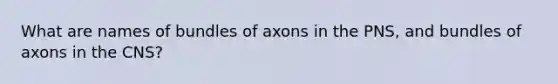 What are names of bundles of axons in the PNS, and bundles of axons in the CNS?