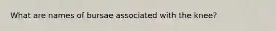 What are names of bursae associated with the knee?