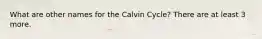 What are other names for the Calvin Cycle? There are at least 3 more.