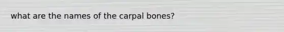 what are the names of the carpal bones?