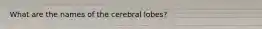 What are the names of the cerebral lobes?