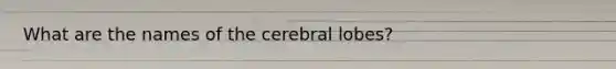 What are the names of the cerebral lobes?