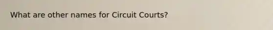 What are other names for Circuit Courts?