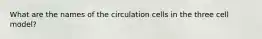 What are the names of the circulation cells in the three cell model?