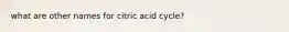 what are other names for citric acid cycle?