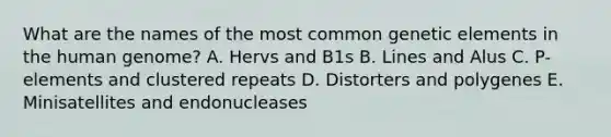 What are the names of the most common genetic elements in the human genome? A. Hervs and B1s B. Lines and Alus C. P-elements and clustered repeats D. Distorters and polygenes E. Minisatellites and endonucleases