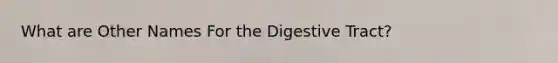 What are Other Names For the Digestive Tract?