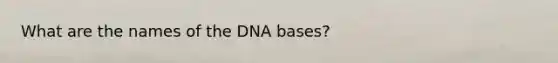 What are the names of the DNA bases?