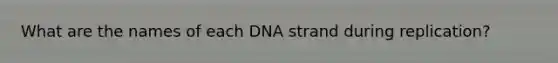 What are the names of each DNA strand during replication?