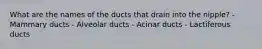 What are the names of the ducts that drain into the nipple? - Mammary ducts - Alveolar ducts - Acinar ducts - Lactiferous ducts