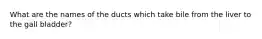 What are the names of the ducts which take bile from the liver to the gall bladder?