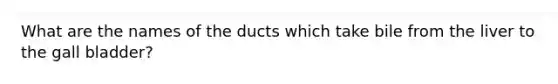 What are the names of the ducts which take bile from the liver to the gall bladder?