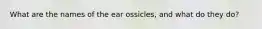 What are the names of the ear ossicles, and what do they do?