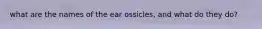 what are the names of the ear ossicles, and what do they do?