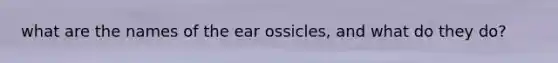 what are the names of the ear ossicles, and what do they do?