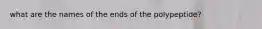 what are the names of the ends of the polypeptide?