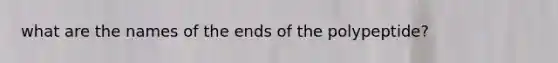 what are the names of the ends of the polypeptide?