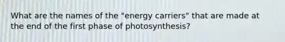 What are the names of the "energy carriers" that are made at the end of the first phase of photosynthesis?