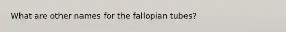 What are other names for the fallopian tubes?