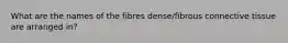 What are the names of the fibres dense/fibrous connective tissue are arranged in?