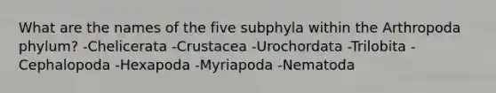 What are the names of the five subphyla within the Arthropoda phylum? -Chelicerata -Crustacea -Urochordata -Trilobita -Cephalopoda -Hexapoda -Myriapoda -Nematoda