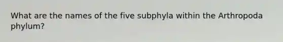 What are the names of the five subphyla within the Arthropoda phylum?