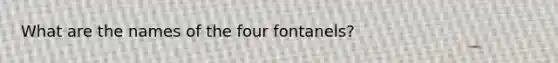 What are the names of the four fontanels?