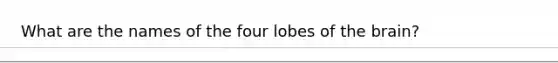 What are the names of the four lobes of the brain?