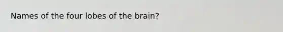 Names of the four lobes of the brain?