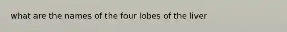 what are the names of the four lobes of the liver