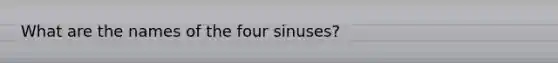 What are the names of the four sinuses?