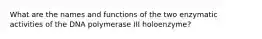 What are the names and functions of the two enzymatic activities of the DNA polymerase III holoenzyme?