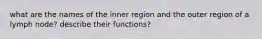 what are the names of the inner region and the outer region of a lymph node? describe their functions?