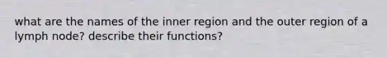 what are the names of the inner region and the outer region of a lymph node? describe their functions?